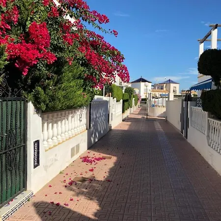 Bungalow In Los Altos * Torrevieja